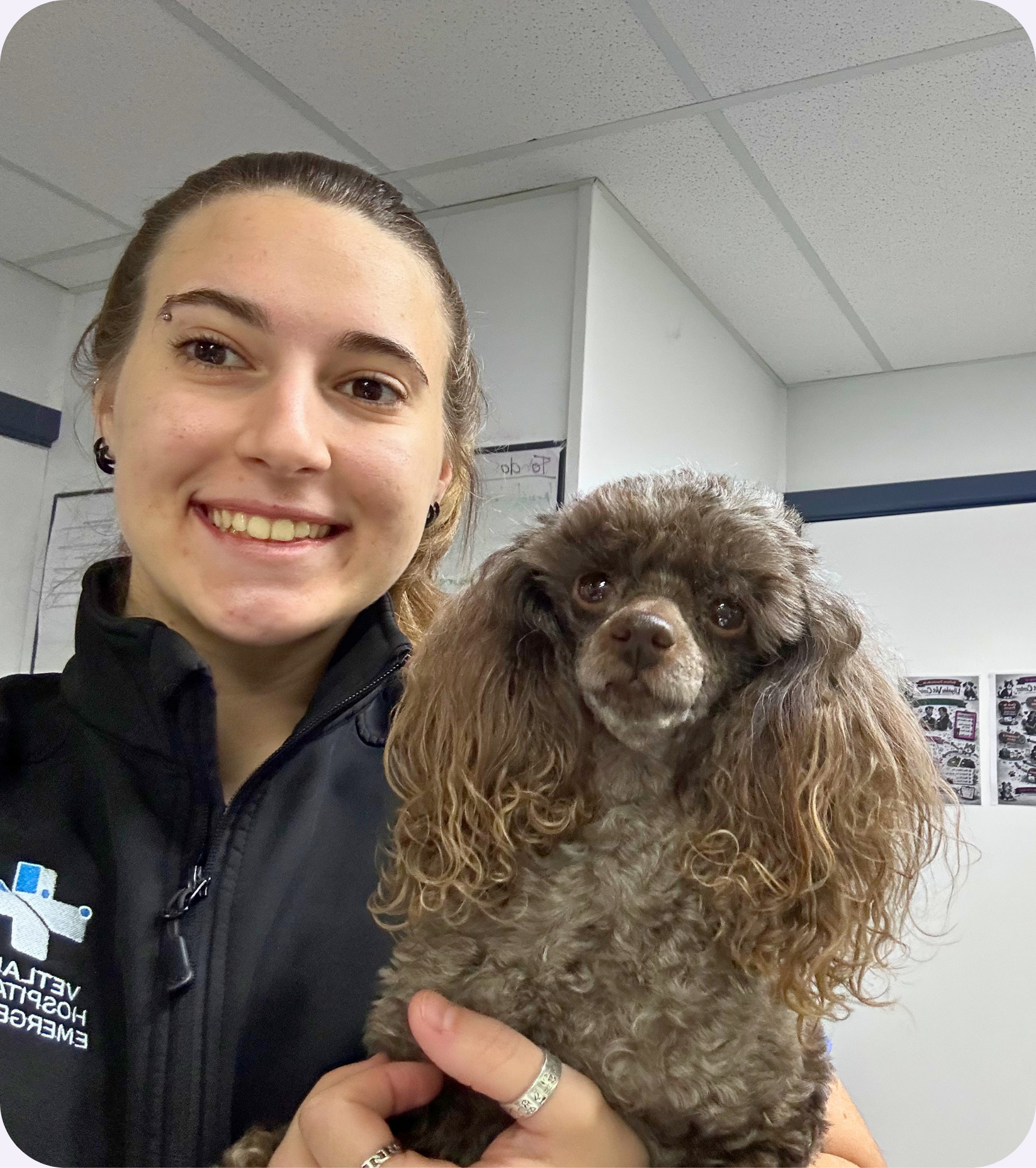 Vetland veterinary team assessing persistent deciduous teeth in a puppy, providing early treatment to protect developing teeth, gums, and bite alignment.