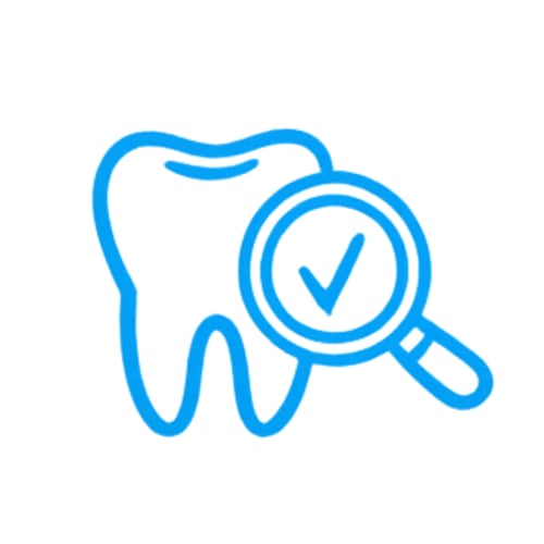 Vetland Feline Stomatitis - Evaluation of tooth health