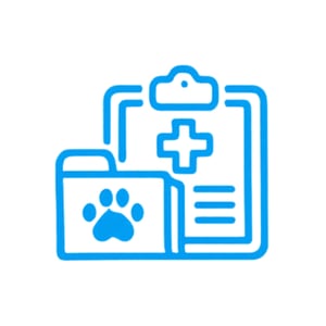 Vetland Feline Stomatitis - Review of previous treatments
