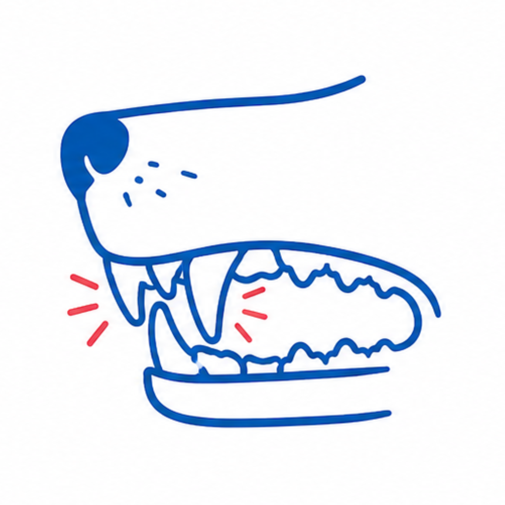 Puppy receiving a dental examination at Vetland for persistent deciduous teeth, helping identify retained baby teeth before permanent bite abnormalities develop.