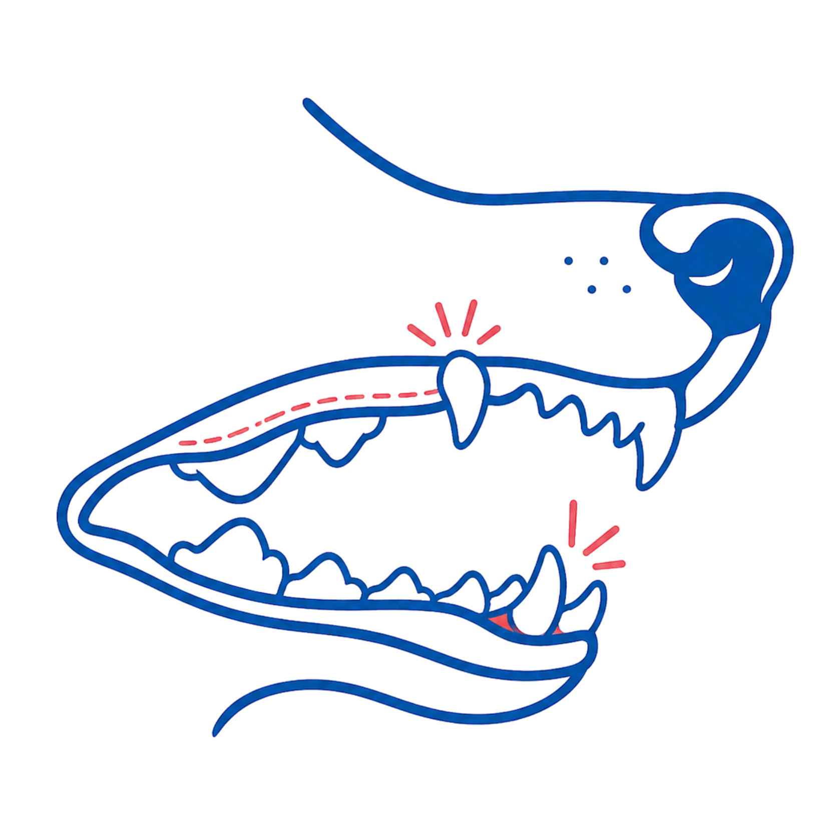 Vetland veterinary team assessing persistent deciduous teeth in a puppy, providing early treatment to protect developing teeth, gums, and bite alignment.
